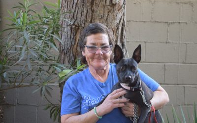 Meet Sharon (and Sissy)!