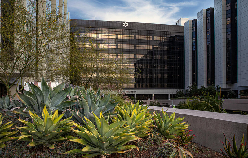 Cedars-Sinai Supports Local Nonprofits With $27 Million in Grants